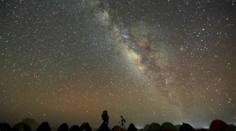  Gökyüzü Üzerinde Dans Eden Ejderhalar: 9. Yüzyıl Vietnam Sanatında Bir Rüya Gibi Yansıtma!